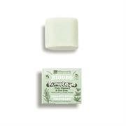 Biodeo Solido Himalaya fresco -40 gr - La Saponaria