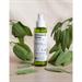 Idrolato Salvia Bio Re-Bottle spray - 100 ml - La Saponaria