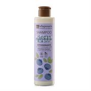 Shampoo antiossidante - Mirtillo Bio e Arginina - 200 ml - La Saponaria
