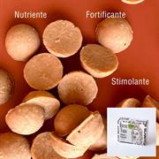 Botter Terra - Impacco Capelli Solido Pre-Shampoo Nutriente e Rinforzante - 2g x 25 - ANARKHìA BIO