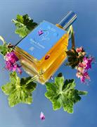 Colonia Acqua Fiorita - 100 ml - Olfattiva