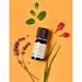Difesa Naturale - Miscela di oli essenziali non gradita agli insetti - 10ml - LaSaponaria