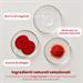 Blush Labbra e Guance - Amarena Crush 10 ml - Enooso