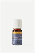 Olio Essenziale Acqua dell'Angelo 10 ml - Olfattiva
