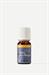 Olio Essenziale Acqua dell'Angelo 10 ml - Olfattiva